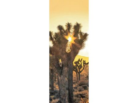 JOSHUA TREES- 3D Lenticular Bookmark - NEW Discount