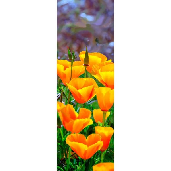 CALIFORNIA POPPIES - 3D Clip-On Lenticular Bookmark - NEW For Cheap