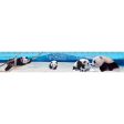 Panda Family - 3D Lenticular Bookmark Ruler -NEW For Sale