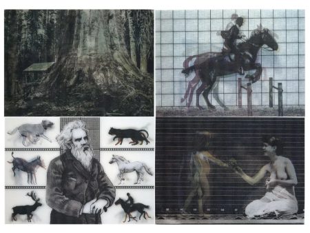 Eadweard Muybridge - 4-Locomotion Photographic Lenticular Postcards  Greeting Cards - NEW Online