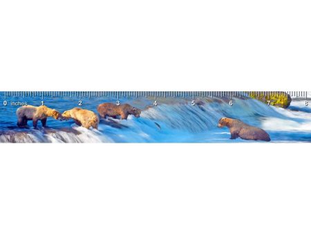 Grizzly Bears Fishing - 3D Lenticular Bookmark Ruler- NEW For Cheap