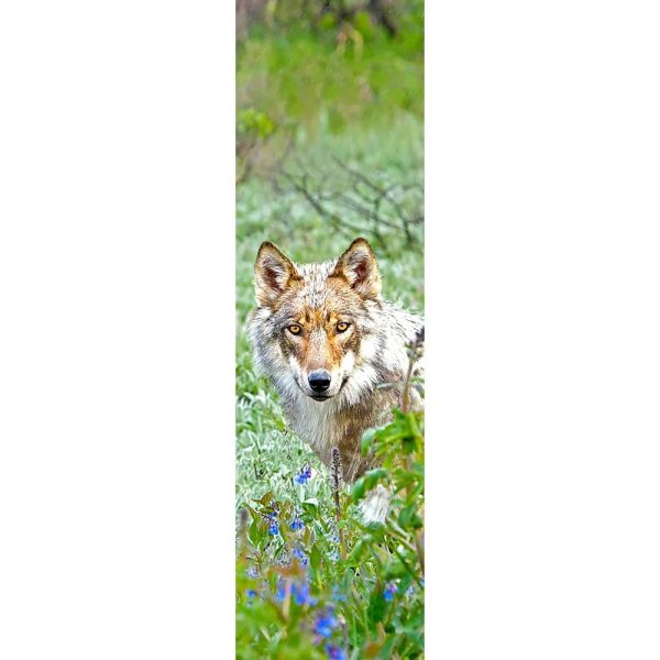 WOLF - 3D Lenticular Bookmark -NEW Discount