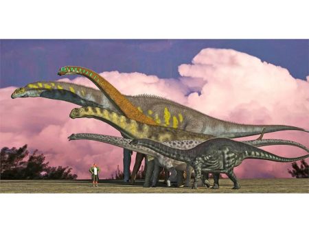 Sauropods - 3D Lenticular Oversize-Postcard Greeting Card - NEW Online Hot Sale