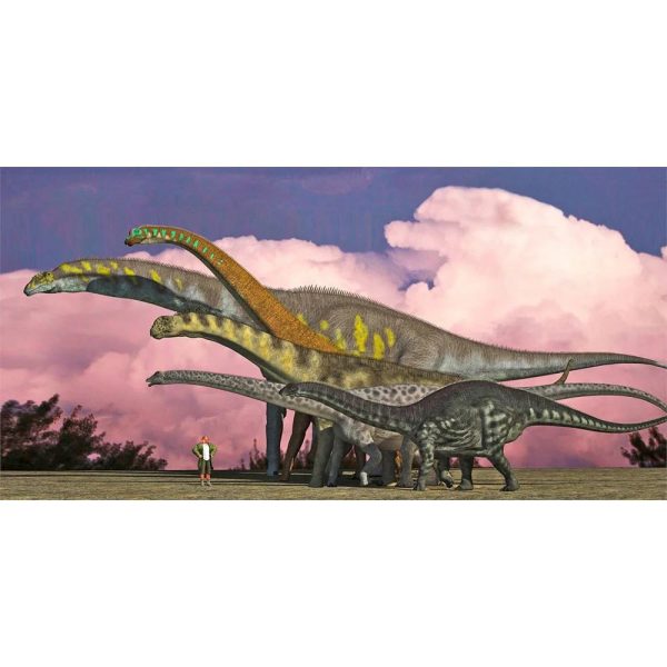 Sauropods - 3D Lenticular Oversize-Postcard Greeting Card - NEW Online Hot Sale