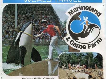 Marineland & Game Farm - View-Master Vintage 3 Reel Packet - 1970s Views (PKT-A040-V1Amint) Discount