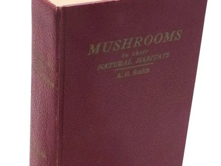 Mushrooms - in Their Natural Habitats -  by Smith - vintage- 1949 Fashion