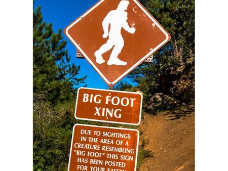 Bigfoot - Lenticular 3D Postcard Greeting Cardd - NEW Sale