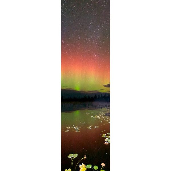 AURORA BOREALIS 2 - 3D Flip Lenticular Bookmark - NEW Hot on Sale