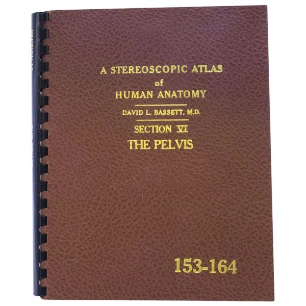 Stereoscopic Atlas of Human Anatomy - The Pelvis - by Bassett - vintage - 1962 Online Hot Sale