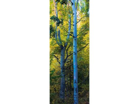 FOREST - 3D Lenticular Bookmark - NEW Sale