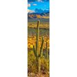 SAGUARO CACTUS - 3D Lenticular Bookmark -NEW Discount