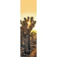 JOSHUA TREES- 3D Lenticular Bookmark - NEW Discount