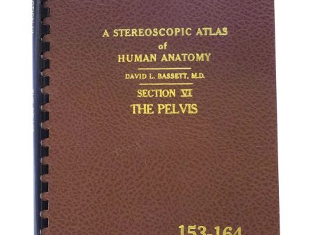 Stereoscopic Atlas of Human Anatomy - The Pelvis - by Bassett - vintage - 1962 Online Hot Sale