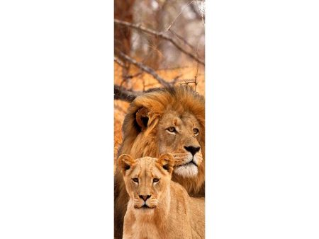 LIONS - 3D Lenticular Bookmark - NEW Discount