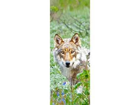 WOLF - 3D Lenticular Bookmark -NEW Discount