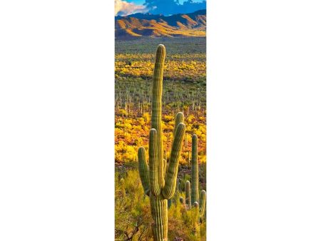 SAGUARO CACTUS - 3D Lenticular Bookmark -NEW Discount