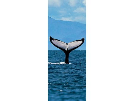 WHALE FLUKE - 3D Lenticular Bookmark -NEW For Discount