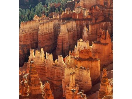 Bryce Canyon 2- 3D Lenticular Post Card  Greeting Card - NEW Cheap