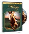 FELICITY: AN AMERICAN GIRL ADV Hot on Sale