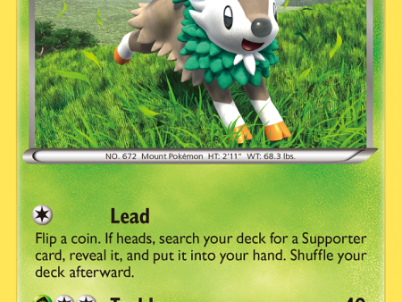 Skiddo (18 146) [XY: Base Set] Online